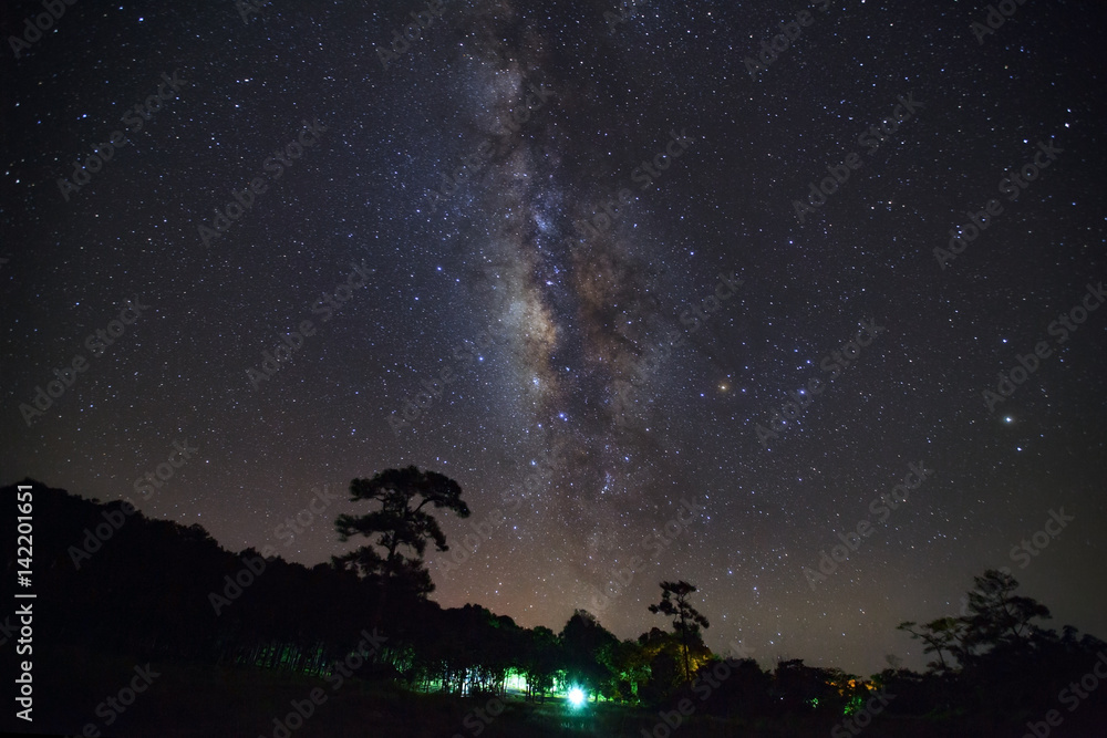 Milky Way and silhouette of tree at Phu Hin Rong Kla National Park,Phitsanulok Thailand, Long exposure photograph.with grain