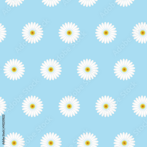 Seamless simple vector pattern with camomile flowers. Lovely design for desktop wallpaper, fabric, textile, paper wrapping, website backgrounds, packaging. © анютка фролова