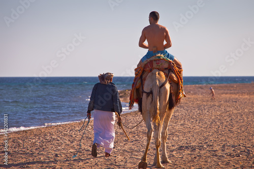 Wakacje w Egipcie. Przejażdżka wielbłądem po plaży