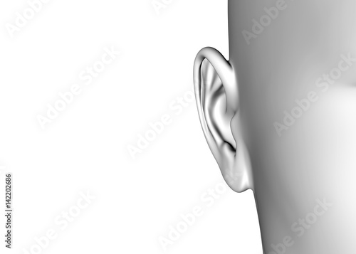 Ear - 3D