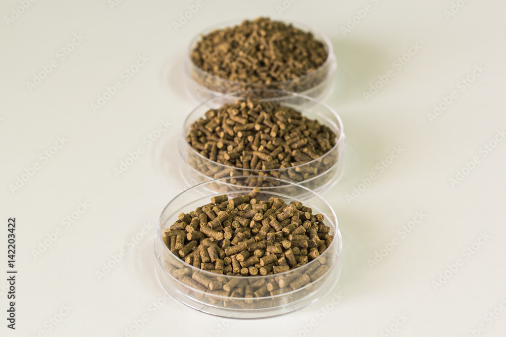 shrimp feed isolated background shrimp feed isolated background