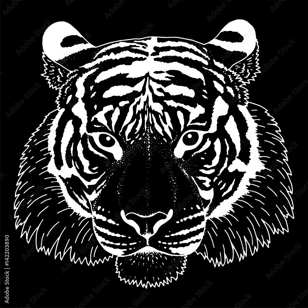 Tiger Head Illustration Vector Tiger Head Illustration Vector