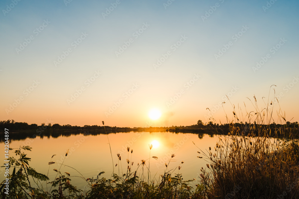 Obraz premium silhouette of grass flower on sunset