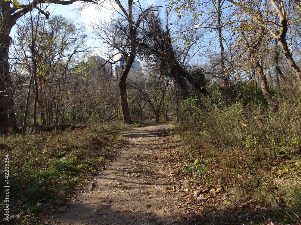 a path to walk upon in solitude a path to walk upon in solitude
