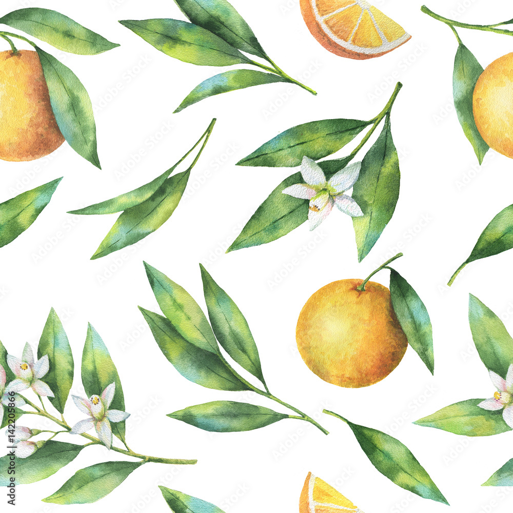 Watercolor fruit orange seamless pattern of flowers and leaves isolated on white background.