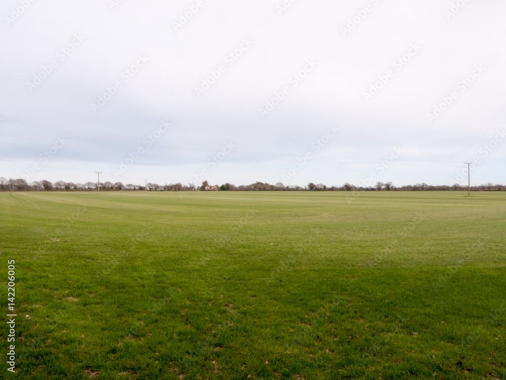 A Lush Farming Field of Cut Grass