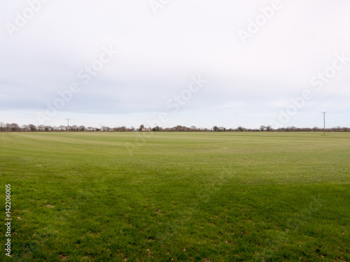 A Lush Farming Field of Cut Grass