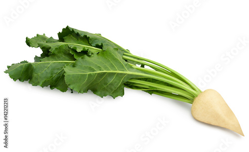 Cuadro en lienzo Fresh sugar beet with leaves isolated on white background