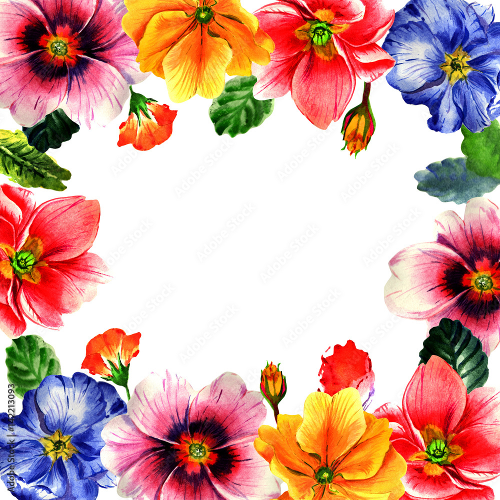Wildflower Primrose flower frame in a watercolor style isolated.