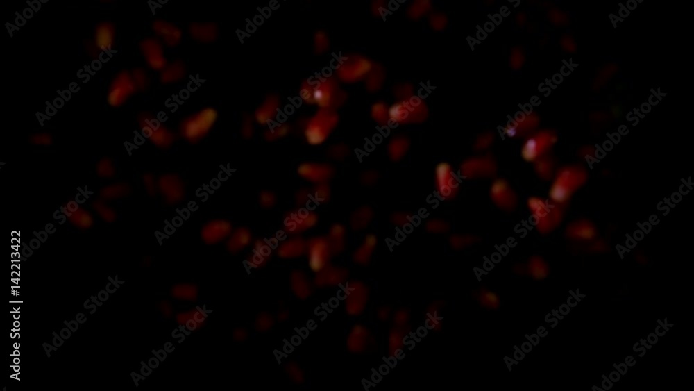 Ripe garnet grains fly to the camera on a black background in slow motion Ripe garnet grains fly to the camera on a black background in slow motion