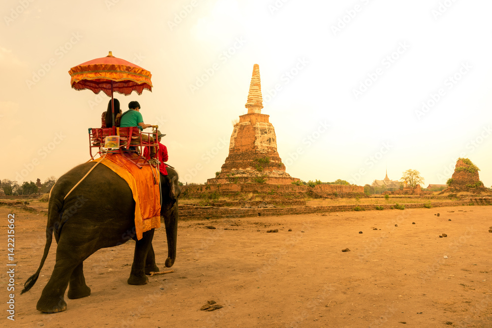 Naklejka premium Elephant tour in Ayutthaya, Thailand.