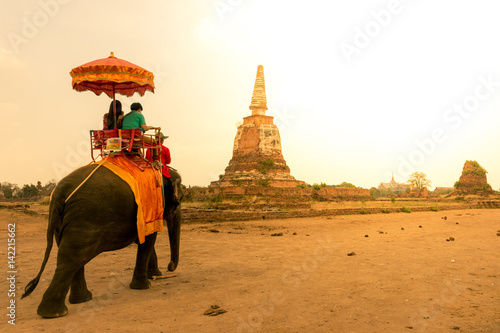 Elephant tour in Ayutthaya, Thailand. © newroadboy