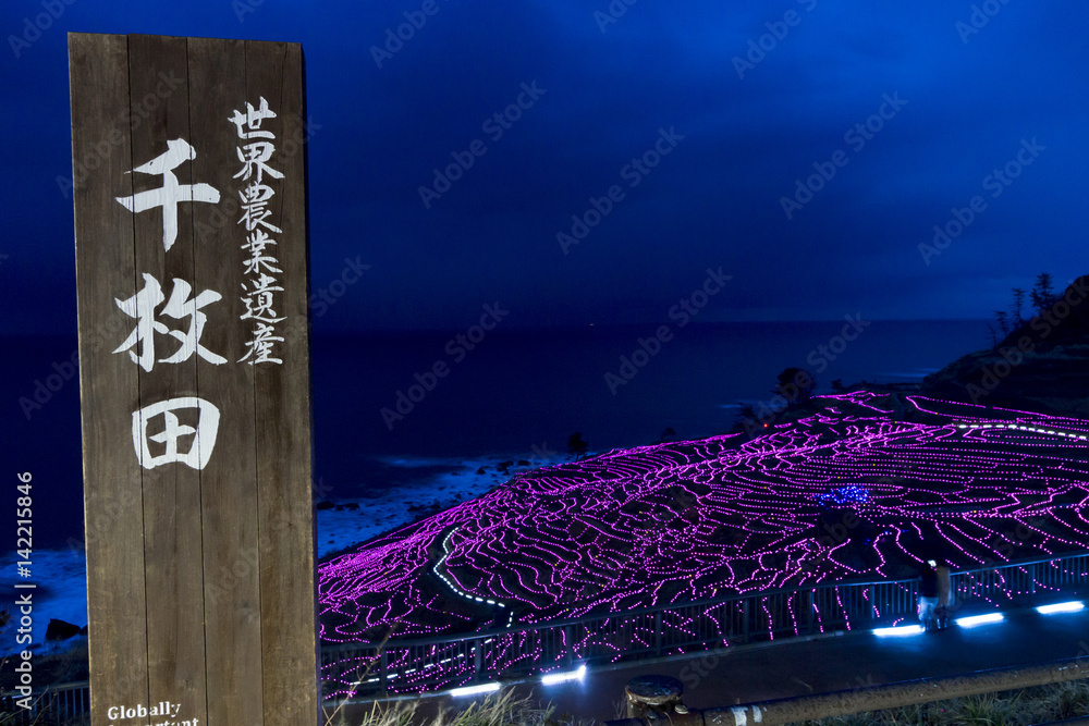 Fototapeta premium 白米千枚田イルミネーション あぜのきらめき