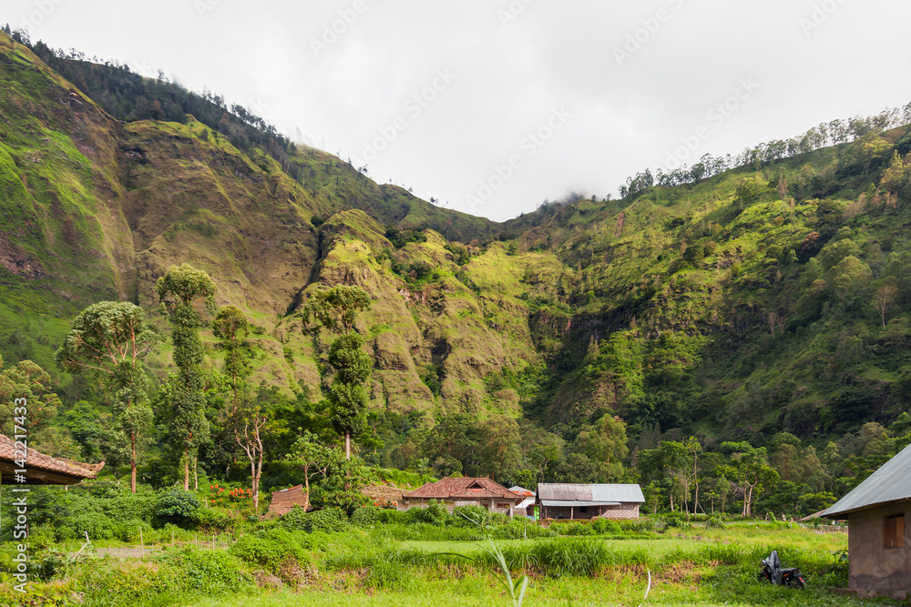 Volcano Batur, landscape view with forest in cloudy day of winter rainy season. Bali, Indonesia