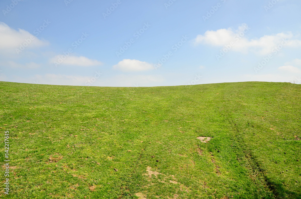 Obraz premium Simple landscape