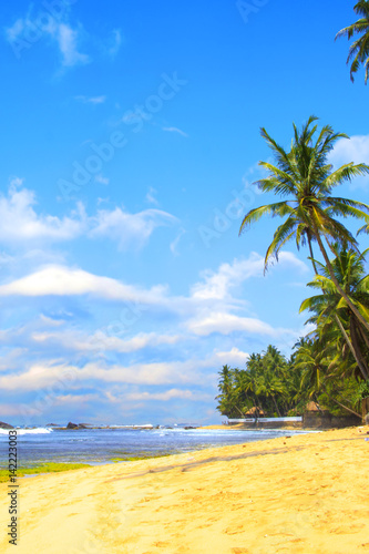 Beautiful view of the beach of Sri Lanka on a sunny day