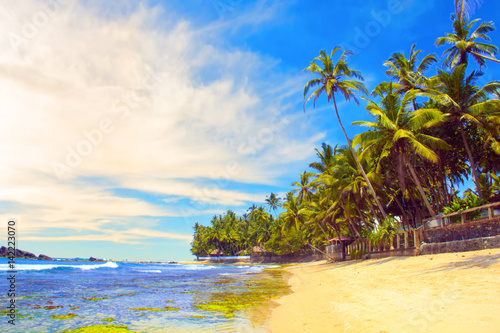 Beautiful view of the beach of Sri Lanka on a sunny day photo