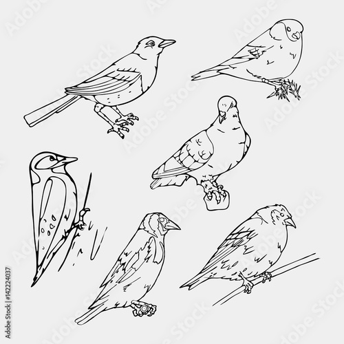 Birds engraved style. Stamp, seal. Simple sketch.