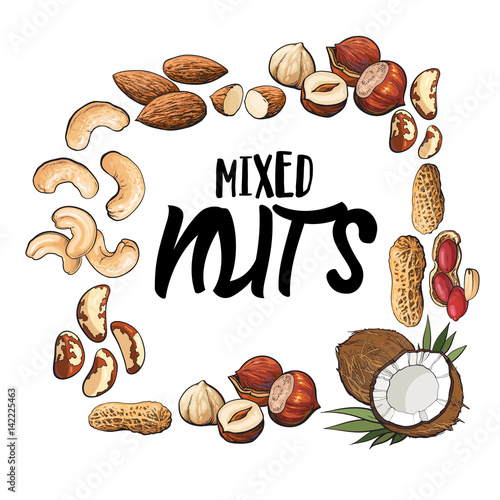 Square frame of coconut, cashew, peanut, hazelnut, almond nuts with place for text, sketch style vector illustration isolated on white background. Square frame of various nuts with place for text