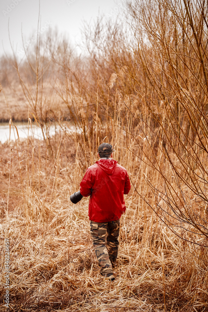 Wild life professional photographe