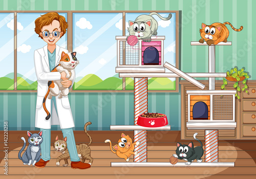 Vet and many cats in animal home