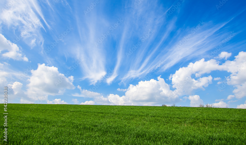 Obraz premium Lawn and clouds landascape