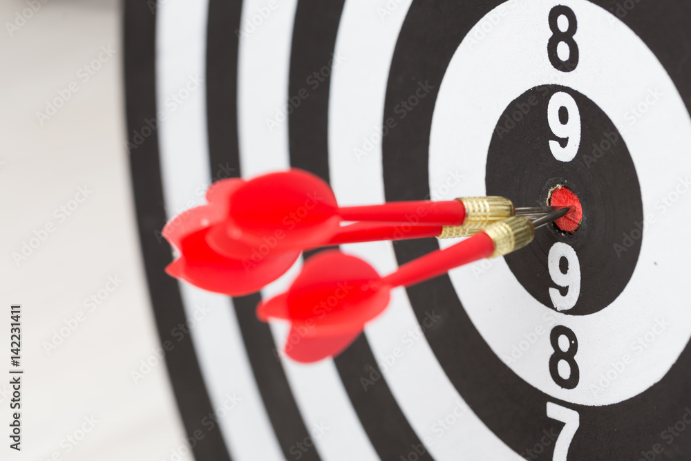 Arrows hitting the center of a target board, concept of partnership Arrows hitting the center of a target board, concept of partnership