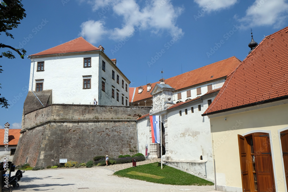 Castle in Ptuj, town on the Drava River banks, Lower Styria Region, Slovenia