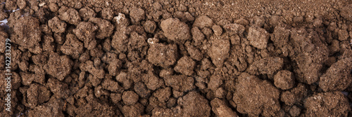 Fertile soil background