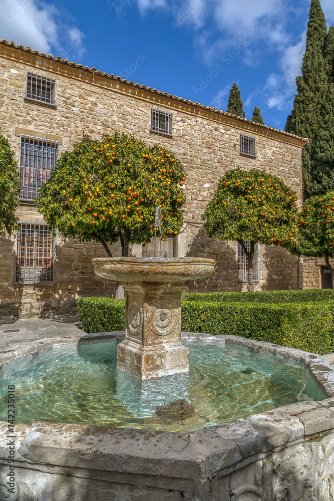 Fountain in Ubeda, Spain