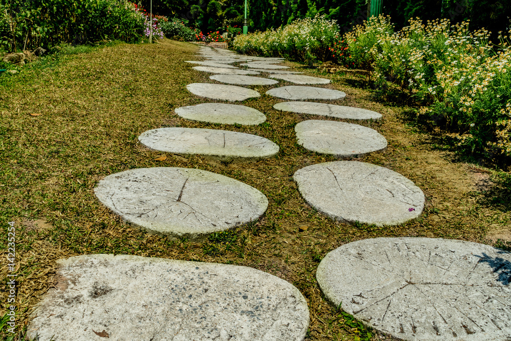 Concrete Pathway in garden Concrete Pathway in garden