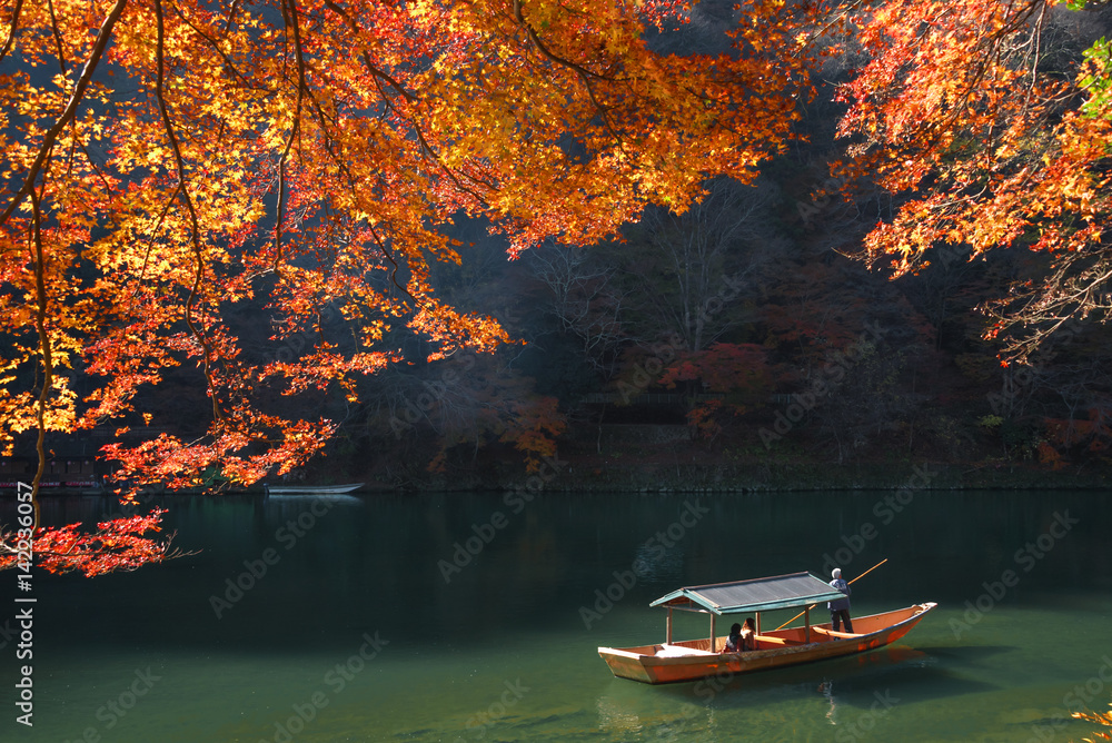 Naklejka premium 晩秋の嵐山 屋形船と紅葉