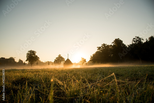 Wiese am Morgen