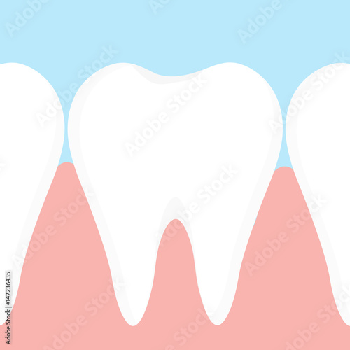 Gums and teeth