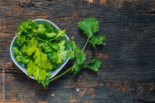 Coriander leaves, fresh green cilantro on wooden background, Food herbal aroma ingredient on dark wood.