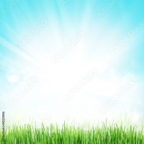 Abstract sunny spring background