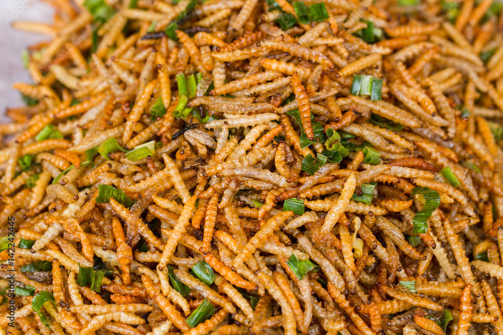 Worm Bug fried Asian Insect Snack food, High Protein from nature.