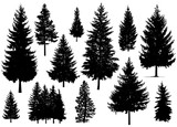 Set. Silhouette of pine trees.