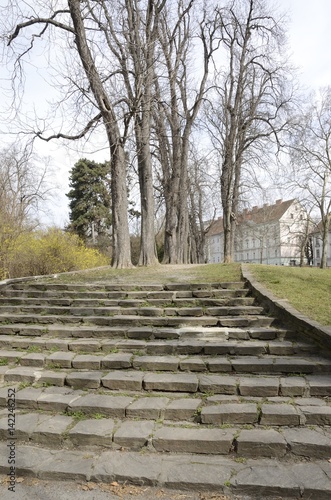 Stone path in garden  in Graz  Austria