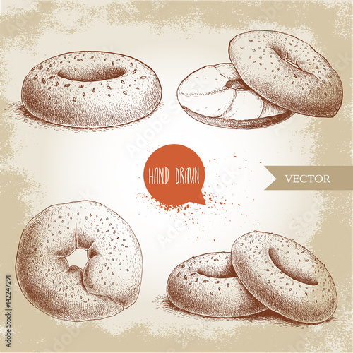 Hand drawn sketch style sesame bagels set. Bagel, sliced bagel with cream cheese. Daily fresh bakery illustration. Vintage drawing of fresh breakfast.