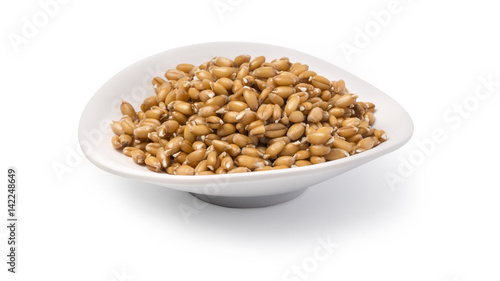Wheat sprouts in bowl,