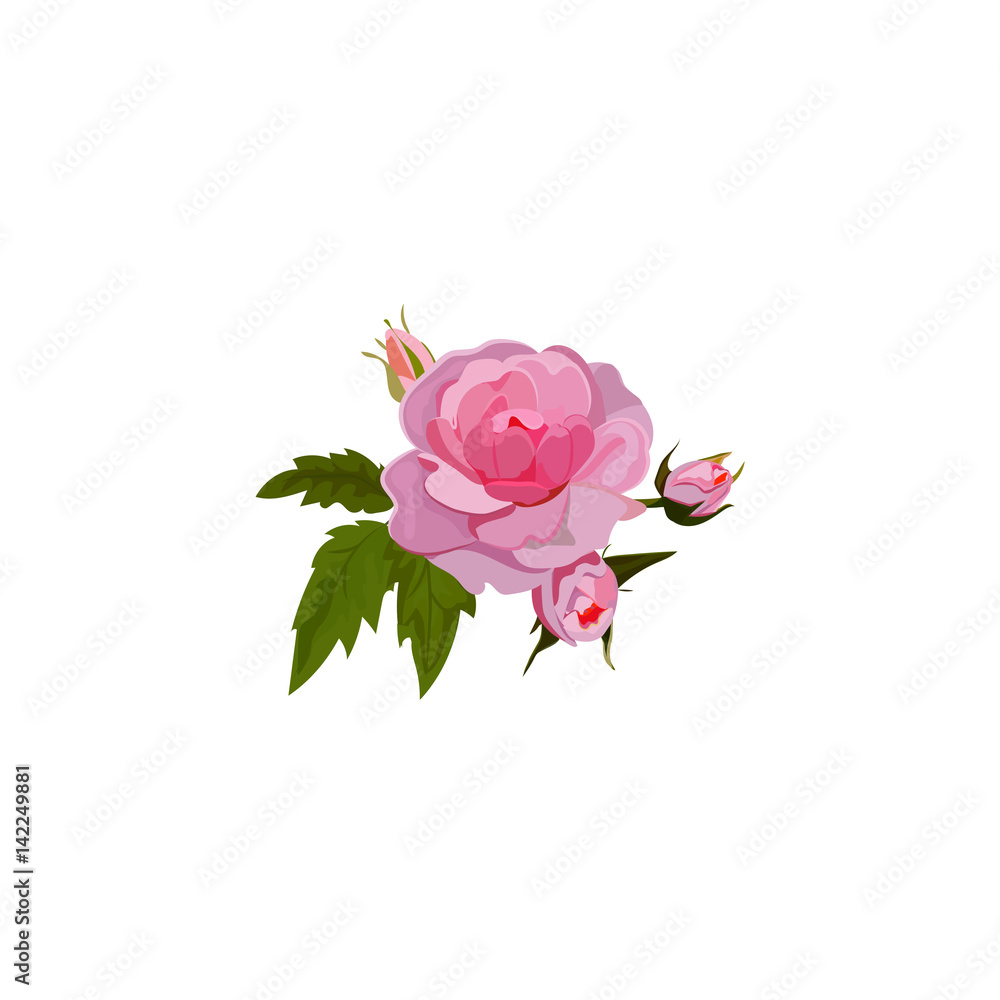 Fototapeta premium bouquet of roses