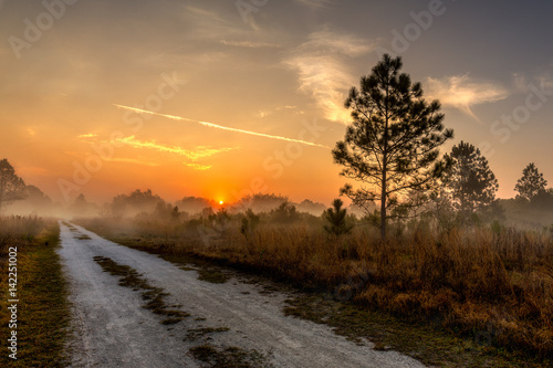Foto Country Road Morning