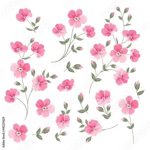 Set of Linen flowers elements. Collection of flower elements isolated on white background. Elegant spring flowers bundle. Vector illustration.