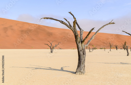 Namib desert in Namibia