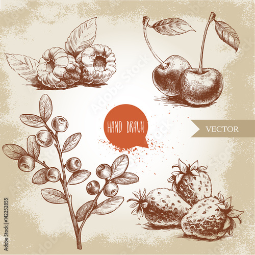 Hand drawn sketch style berries set. Raspberry with leafs, strawberries, cherry and blueberries branch. Healthy fruit and berry vector illustration.