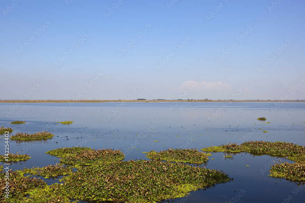 harike wetlands india