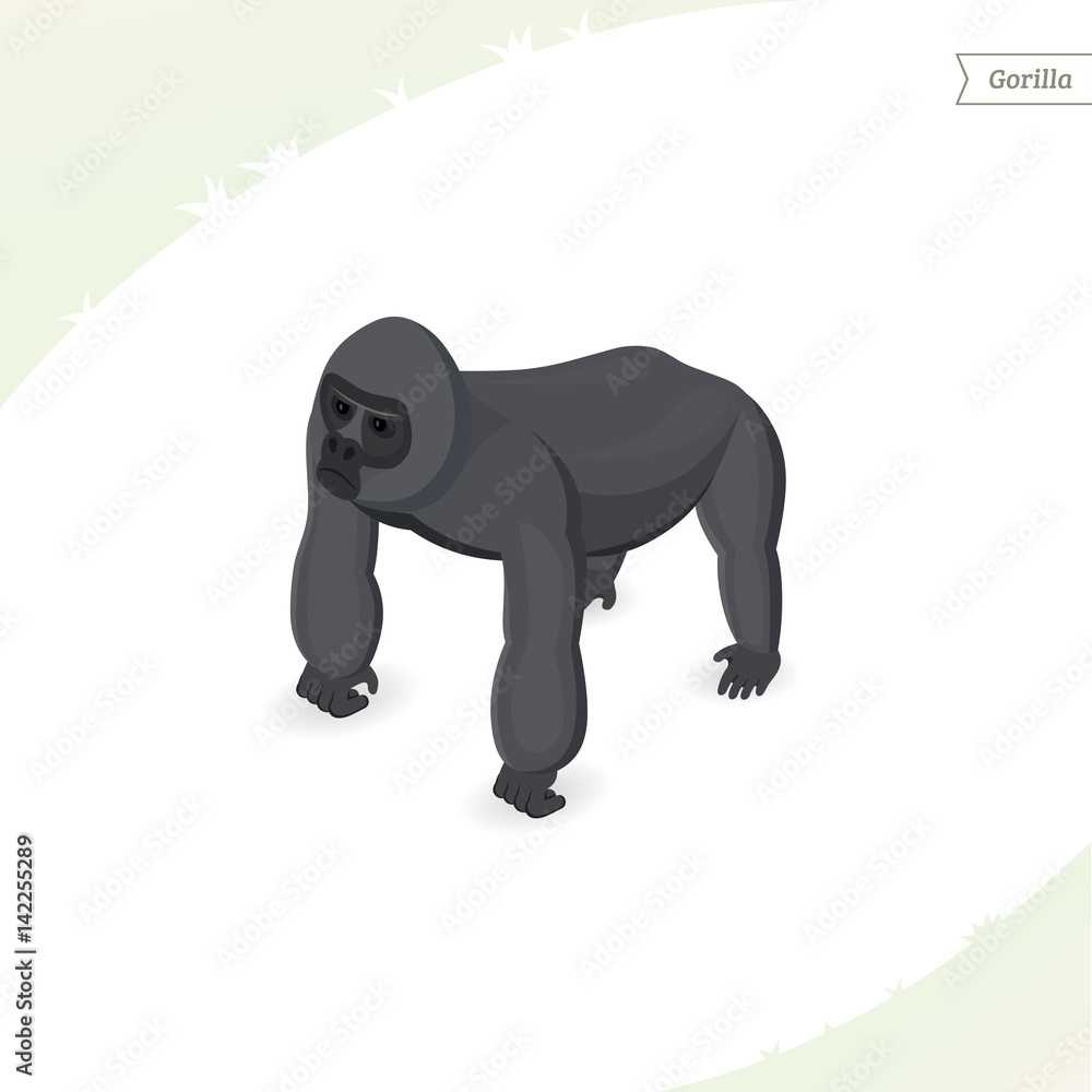 Obraz premium Gorilla isolated on white background. Isometric view. Flat vector illustration.