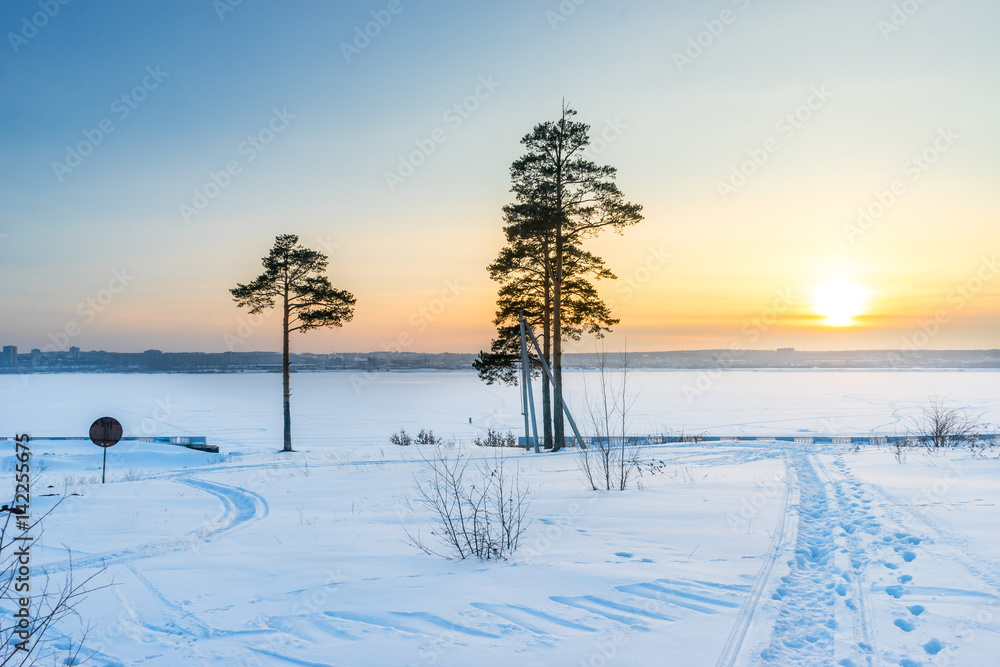 Winter forest with snow on pine trees Winter forest with snow on pine trees