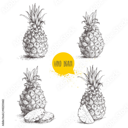 Hand drawn sketch style set illustrations of ripe pineapples. Exotic tropical fruit vector illustrations isolated on white background.